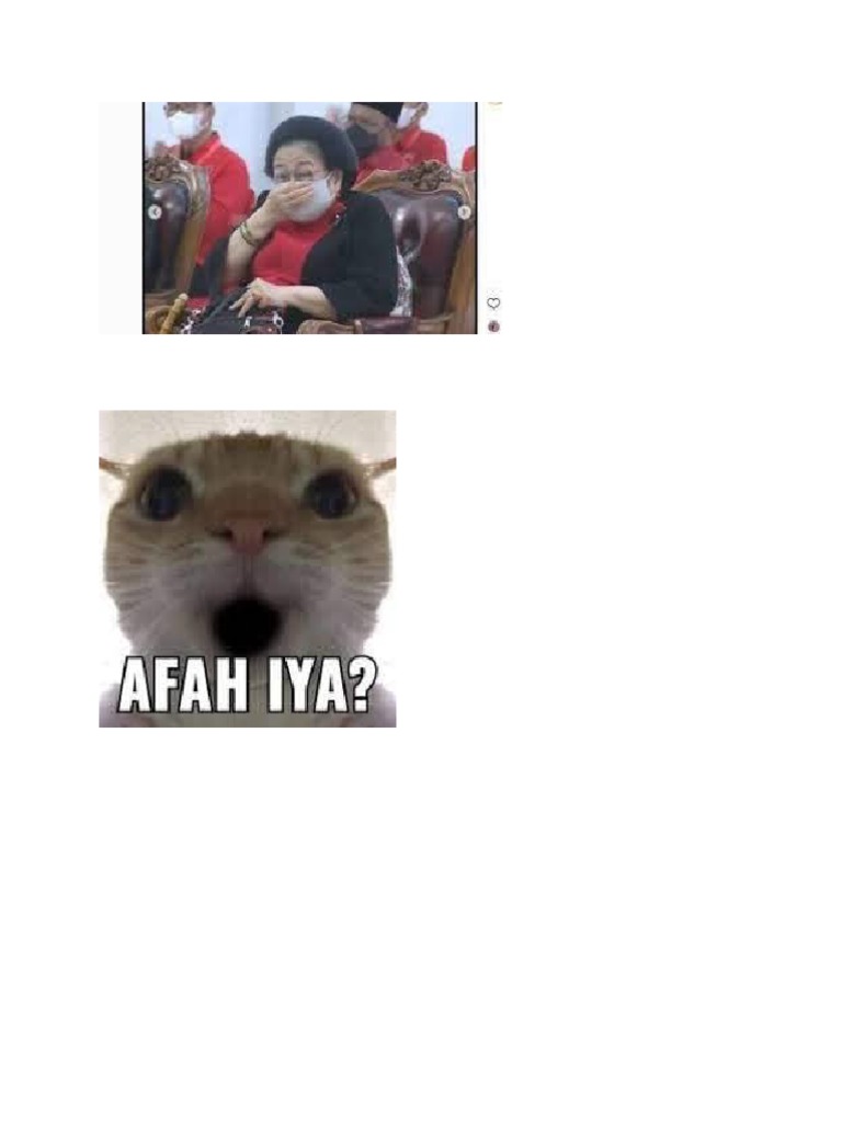 Meme Sticker PDF