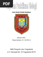 Download LAPORAN Enzim Katalase by Koo Adrianti Rossa Smith SN61778700 doc pdf