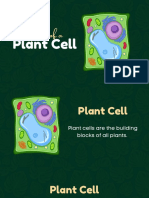 Cell Wall and Chloroplasts 
