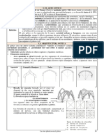 B. Gótico. Resumen y Comentarios