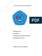 Anatomi Fisiologi Sistem Perkemihan