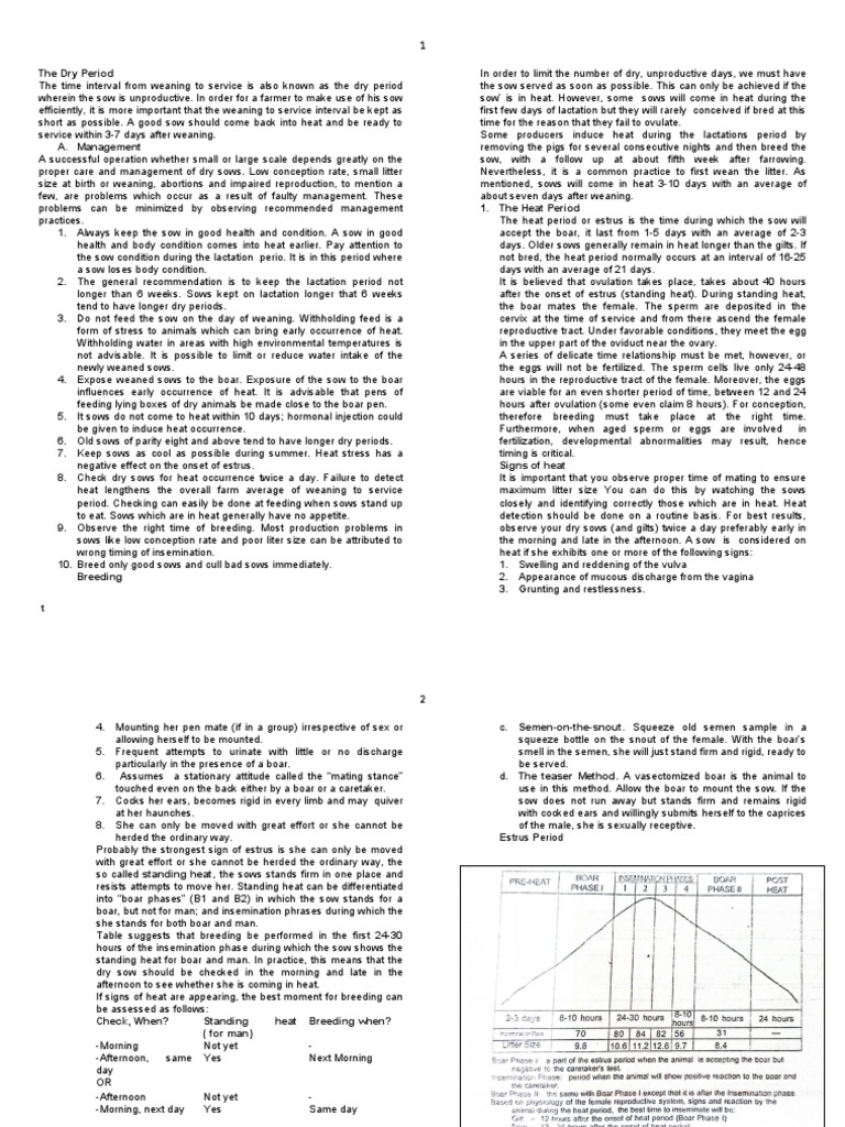 Managing the Dry Period in Sows | PDF | Pig | Pregnancy