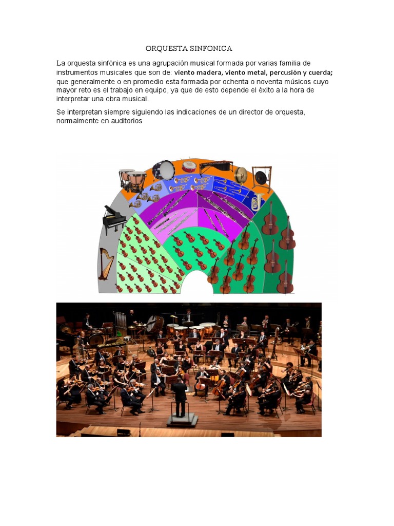 Orquesta Sinfónica: Instrumentos y Trabajo en Equipo | PDF | Poesía