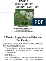 Class XI Leguminosae Family