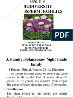 classXI Solanaceae Family