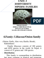 Class XI Liliaceae Family