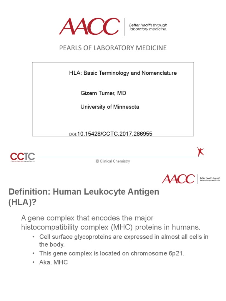 HLA Basic Terminology and Nomenclature Tumer Slides PDF Human