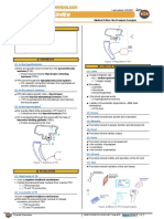 046 - Endocrinology Physiology) Thyroid Overview