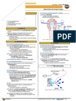 040 - Endocrinology Physiology) Oxytocin