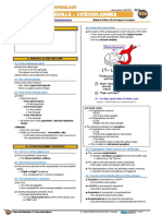 051 Endocrinology Physiology Adrenal Medulla Catecholamines