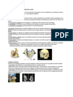 1 Viscerocraneo y SMAS