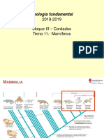 Tema 12. - Mamíferos - Imágenes - 2018