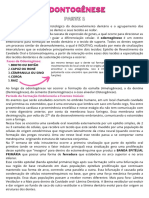 Odontogênese: Desenvolvimento dos Tecidos Dentários