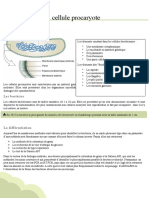 La Cellule Procaryote