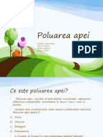 Poluarea Apei-Proiect Chimie 2 2 2