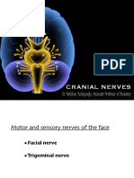 W-9 7th Cranial Nerve