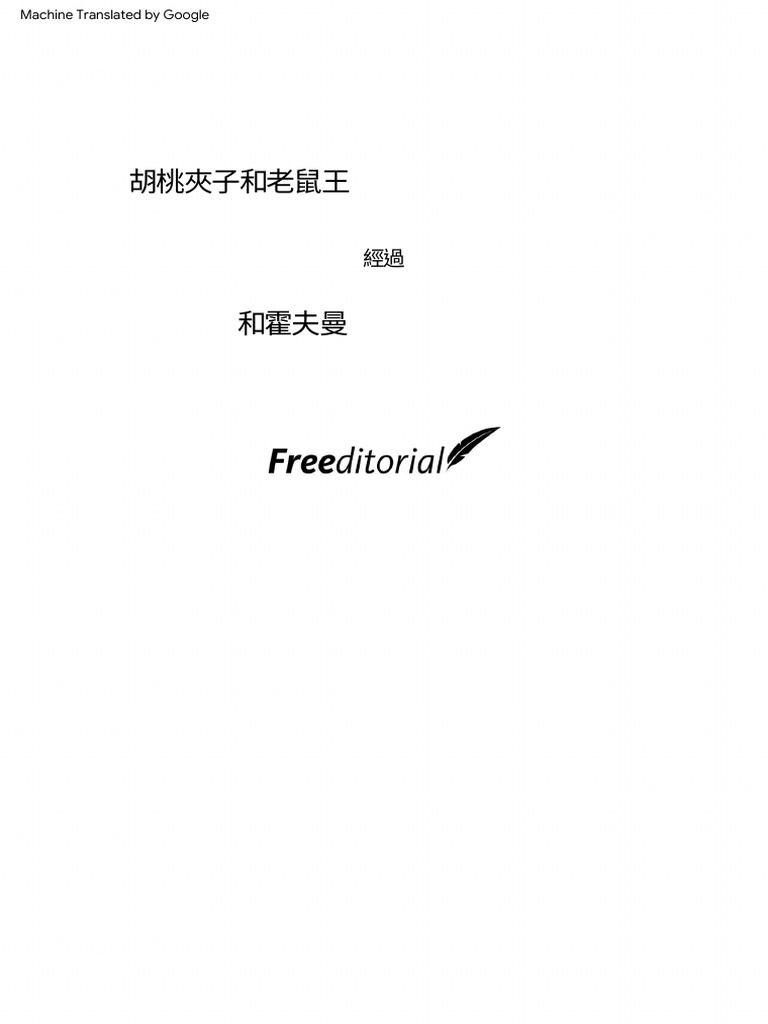 Nutcracker and The Mouse King PDF