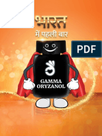 HG Orange Booklet - Hindi