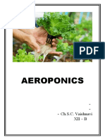 AEROPONICS