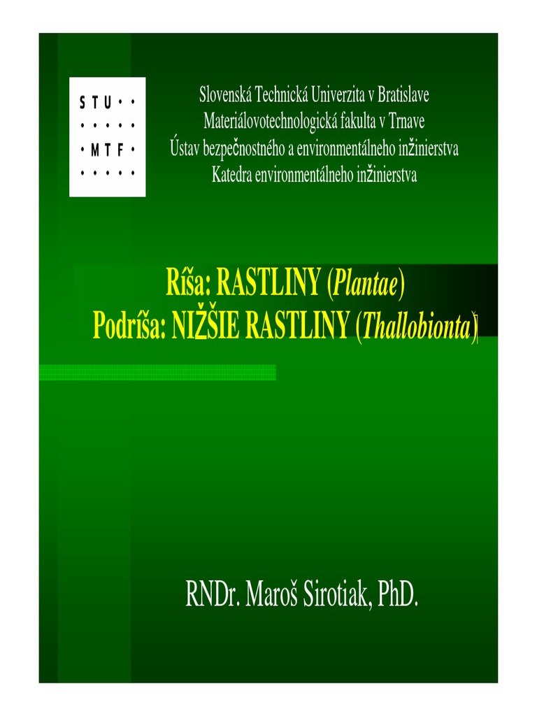 Stielkate Rastliny | PDF