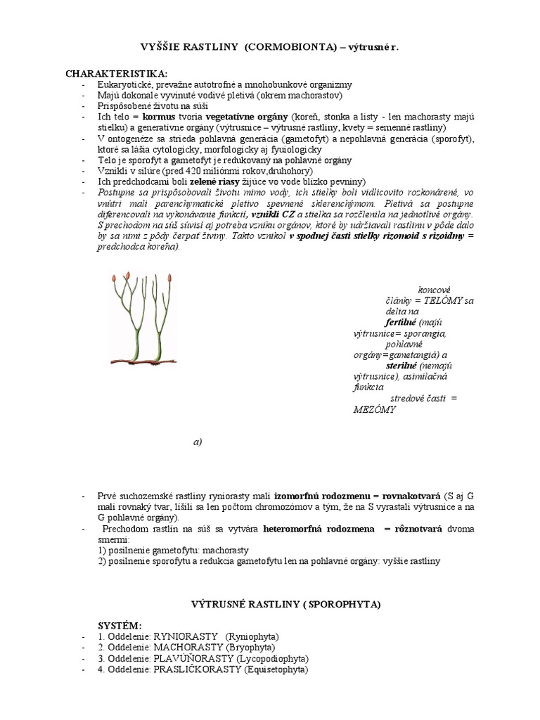 Vyššie Výtrusné Rastliny | PDF