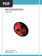 Download METAMORFOSIS SEMPURNA  TAK SEMPURNA by Ahmad Fauzi SN61785632 doc pdf