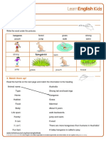 Writing Practice Animal Fact File Worksheet