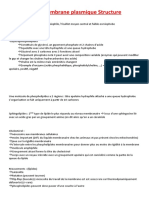 UE1 Membrane Plasmique