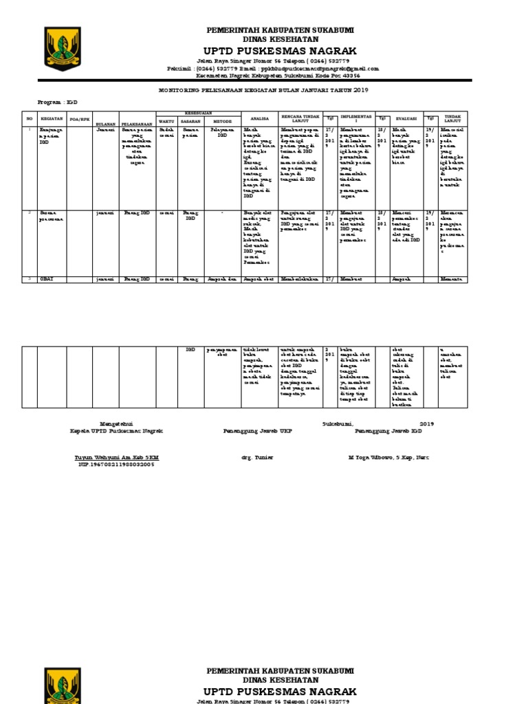 Monitoring Kinerja IGD MART PDF