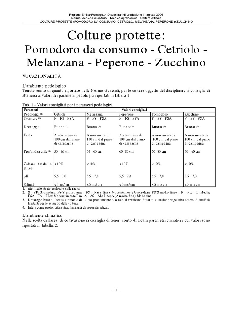 Growhouse Serra Per Pomodori Premium | Con Pannello Frontale Con Cerniera, Copertura PE Trattata UV, Dimensioni 99x40x149 Cm