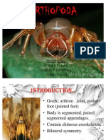 Arthropoda: Classification and Characteristics of Jointed-Legged Invertebrates