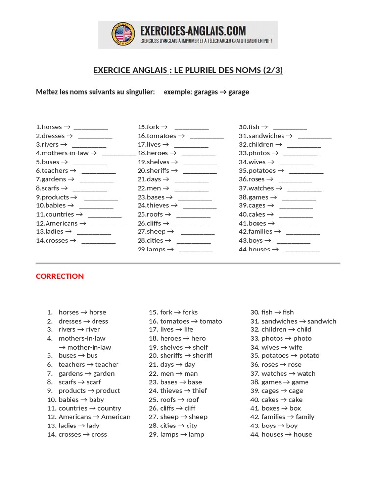 9 Exercice Anglais Pluriel Des Noms 2 PDF