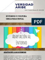 Corporan Montero Felix Fernando - Entorno y Cultura Organizacional