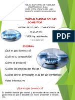 Gas Domestico_ PDF