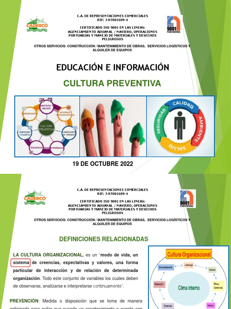 Cultura Preventiva en Organizaciones | PDF | Negocios