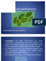 Características y taxonomía de la división Cryptophyta