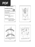 Apósito 3M AbThera para Abdomen Abierto | PDF | Abdomen | Espuma