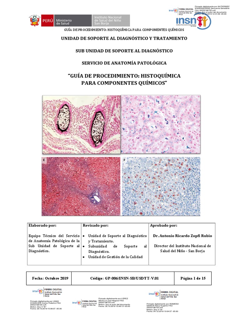 Rd 000259 2019 dg insnsb guia de procedimiento histoqu mica para