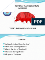 Tardigrade Animal Survival Abilities