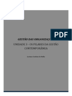 UNIDADE III - Curso - 222RGR1377A - GESTÃO DAS ORGANIZAÇÕES