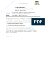 Año de la Universalización de la Salud - Seguimiento de caso de salud mental