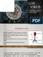 Los Virus Como Inductores