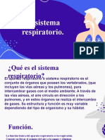 Sistema Respiratorio.