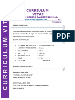 Curriculum Ultimo