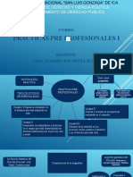 Prácticas Pre Profesionales I: Facultad de Derecho Y Ciencia Politica Departamento de Derecho Público