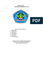 Tugas Bu Aini MAKALAH Paradigma Keperawatan