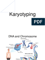 Kromosom Dan Karyotype-3