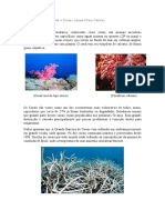 Biodiversidade Vegetal e Corais 