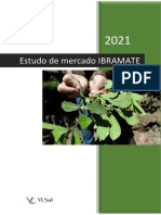 ESTUDO-DE-MERCADO-IBRAMATE-2021-Relatório-Técnico