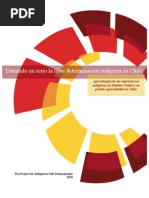 Aprendizajes de Las Experiencias Indigenas en EE.uu.